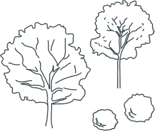 イラスト イラスト