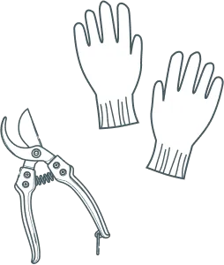 イラスト イラスト