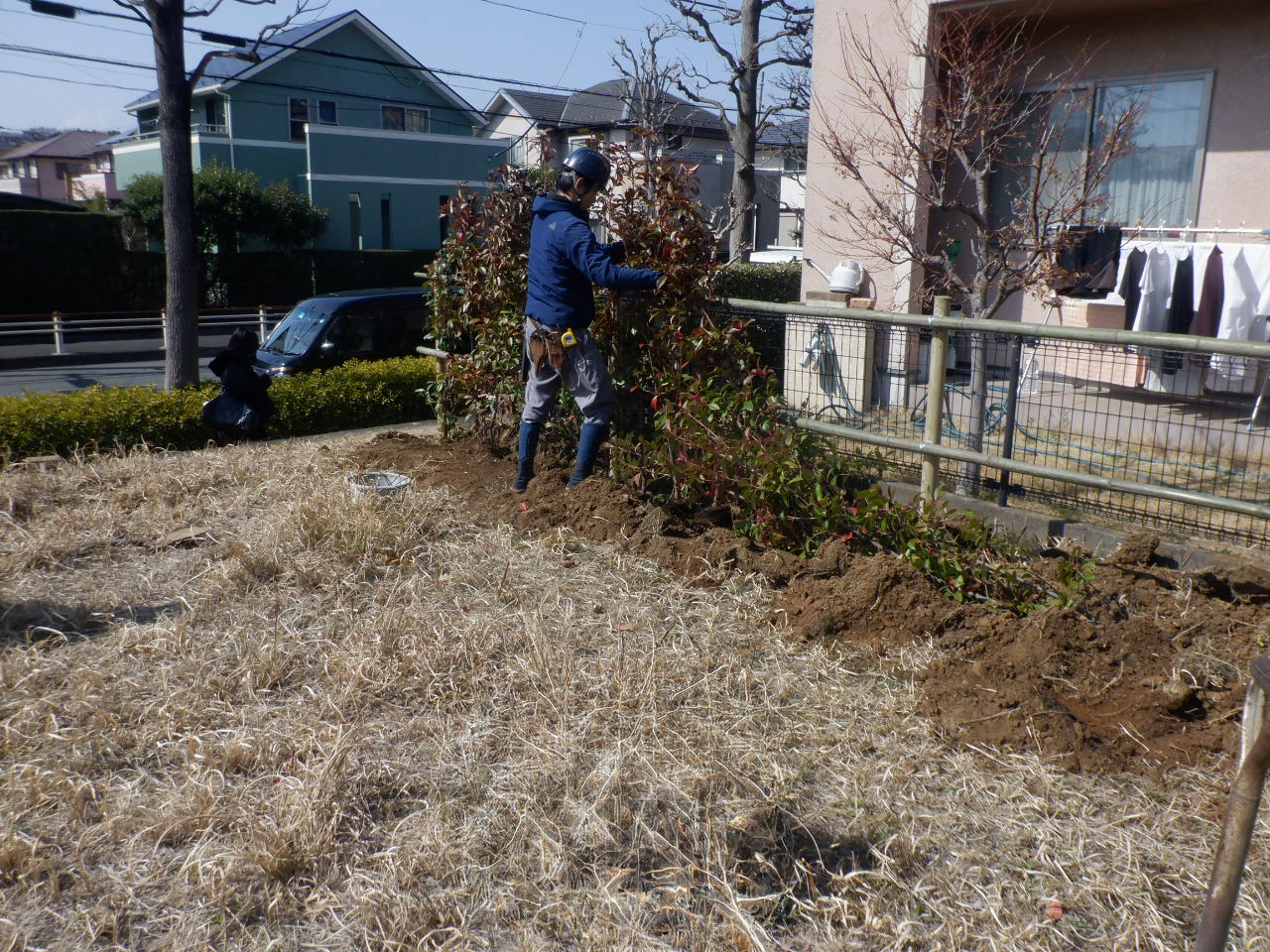 生垣作業中